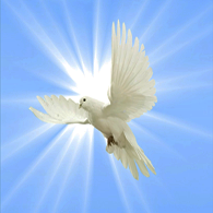 finding peace